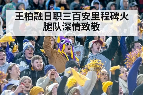 baseball stadium tribute applause